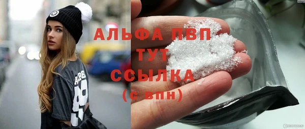 стафф Арсеньев