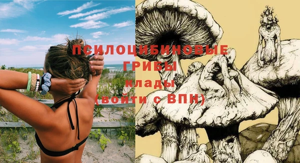 стафф Арсеньев