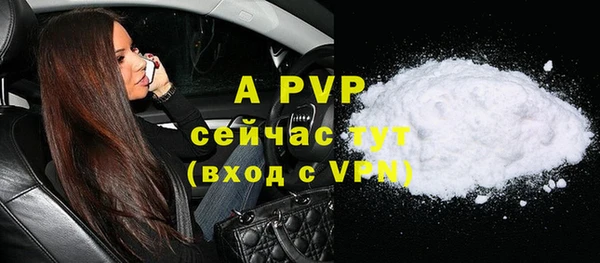 стафф Арсеньев