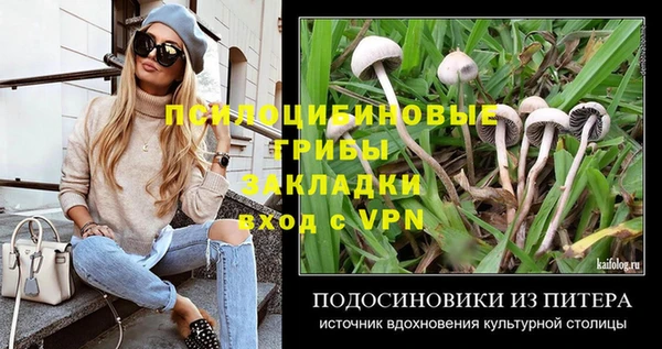 МДПВ Аркадак